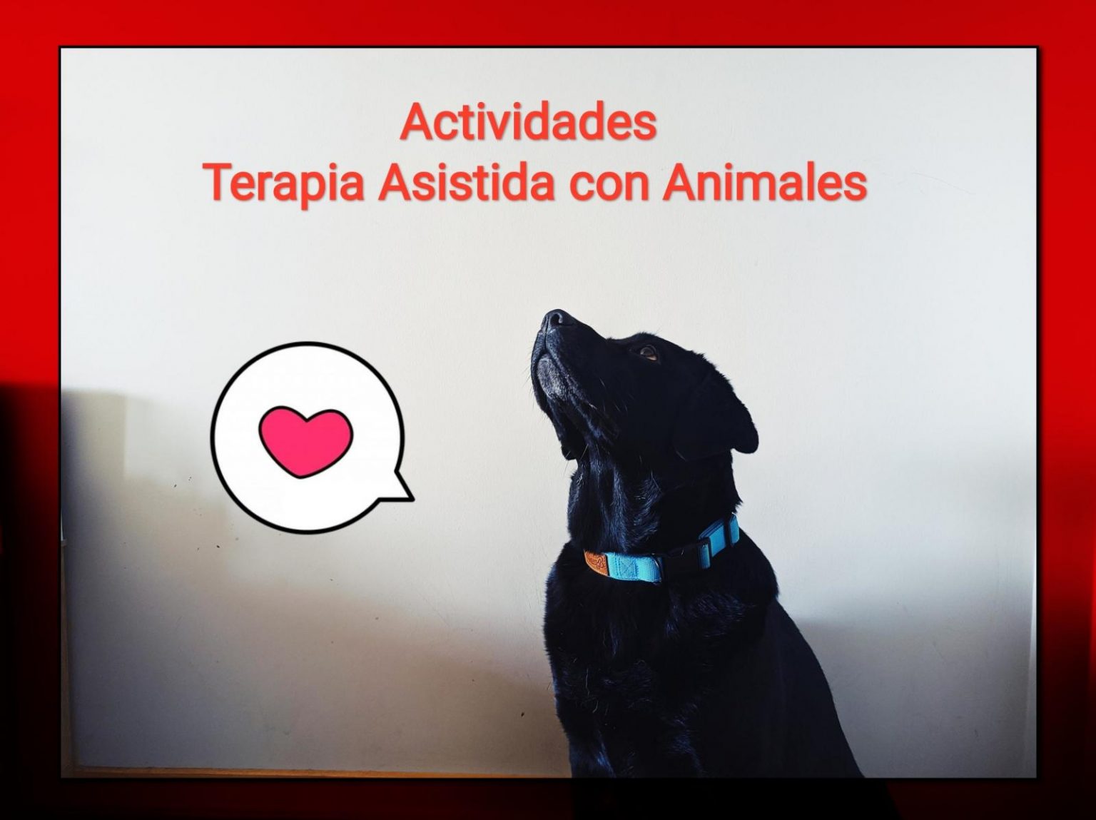 Actividades Terapia Asistida Con Animales - Increscento